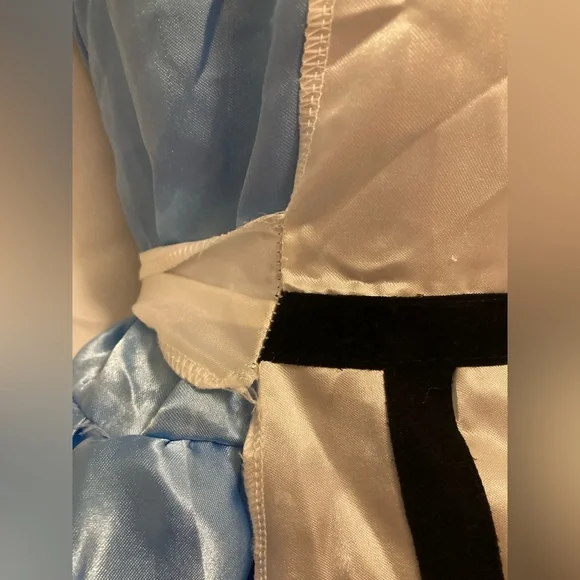 Alice in Wonderland Juniors costume dress - Picture 12 of 12
